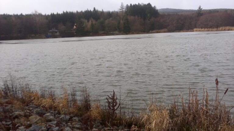 Nový rybník Čáslavice – soukromý rybářský revír