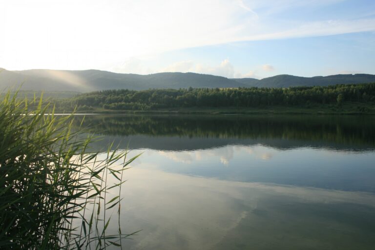 Jezero Dělouš – soukromý rybářský revír