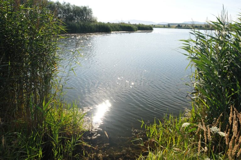 Jezero za pilou – soukromý rybářský revír