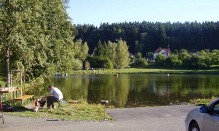 Mirošovice – Štičí rybník – soukromý rybářský revír
