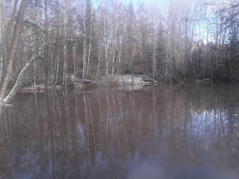 Rybník Lesní Vonšov – soukromý rybářský revír