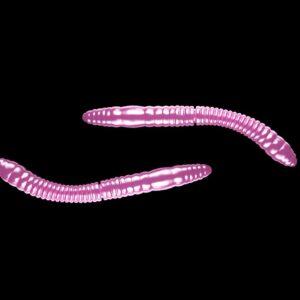 Libra Lures Fatty D’Worm Pink Pearl - D’Worm Tournament 5