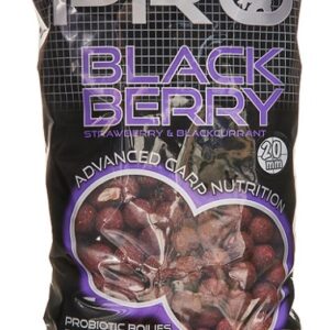 Starbaits Boilies Pro Blackberry 2kg - 20mm
