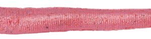 Berkley Rousnice Gulp! Nightcrawler 150mm 10ks - Bubblegum
