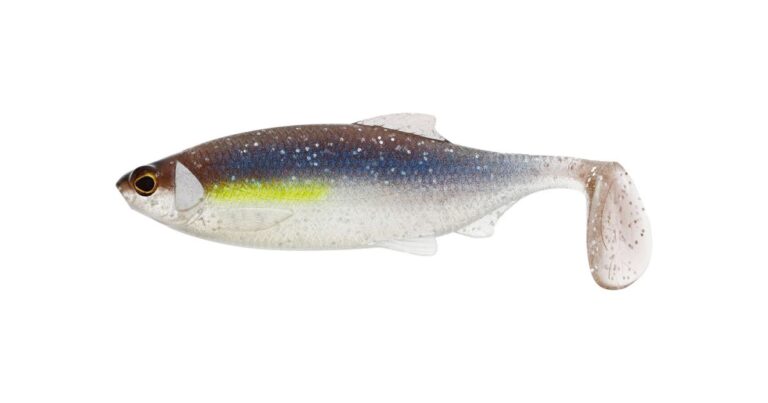 Westin Gumová Nástraha Ricky The Roach Shadtail Preyfish recenze, kde koupit nejlevněji