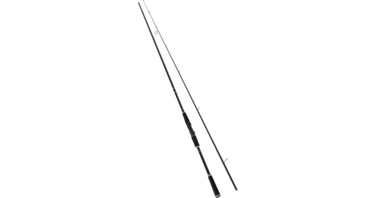 Westin Prut W2 Powerteez ML 2,5 m 7-28 g recenze, kde koupit nejlevněji