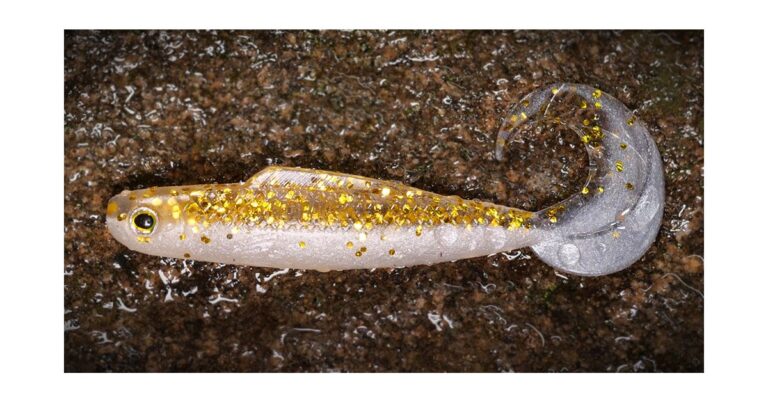 RedBass Gumová Nástraha Twister Kixter Gold/Silver GT recenze, kde koupit nejlevněji