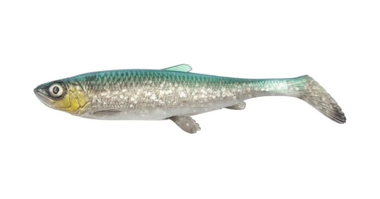 Savage Gear Gumová Nástraha 3D Herring Shad V2 Green Silver recenze, kde koupit nejlevněji