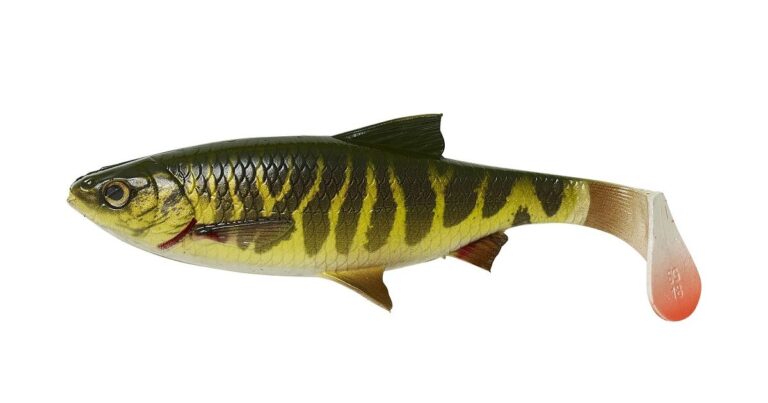 Savage Gear Gumová Nástraha 4D LB River Roach Pike recenze, kde koupit nejlevněji