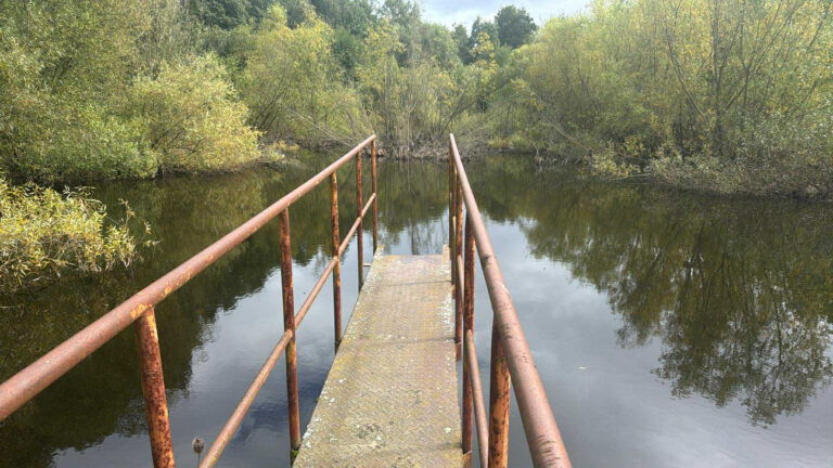 Sportovní rybolov pstruhů psary – soukromý rybářský revír