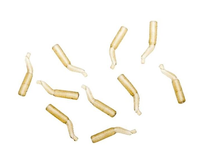 (10x)
									
			
				Extra Carp Rovnátko na háček Line Aligner 10ks
			

		

		
            
                Prvotřídní výrobek, který nahrazuje smrštovací hadičku. Jedná se o rovnátko na háček,…
            

			
                
				
				
				
							

			

					
									Skladem
							

			
                    65 Kč recenze, kde koupit nejlevněji