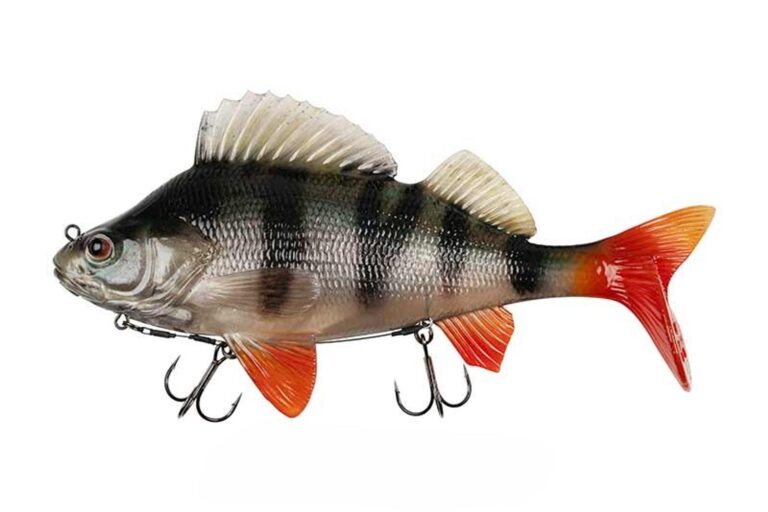 -10 %
                    
				
									
                    
	                    		                    
	                    
                    
	                    
                    
	                    
                                     
				
				

			

			
	
			
				Fox Rage Gumová nástraha Ultra Natural Perch Replicant
			

		

		
            
                Velké nástrahy Ultra Natural Giant Replicants určené pro lov trofejních štik s…
            

			
                
									
                        novinka                    
				
									
                        2 varianty                    
				
				
							

			

					
									Očekáváme 26. 11. 25
							

			
                    405 Kč
                    	                    450 Kč recenze, kde koupit nejlevněji