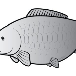 Delphin Nálepka kapr SILVER