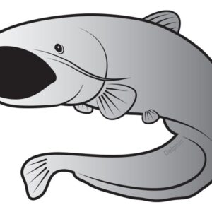 Delphin Nálepka sumec SILVER